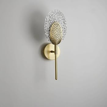 41SSSI3LrKL._UF350,350_QL80_